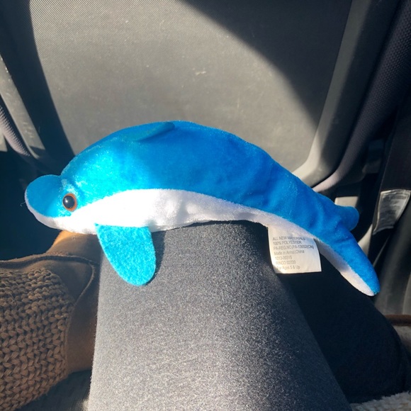 Shark! - Picture 2 of 5